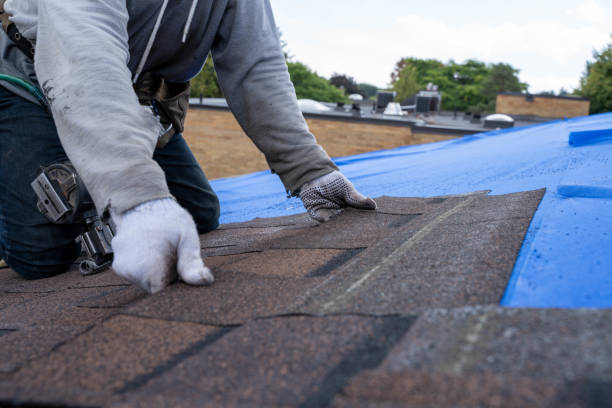Best Roof Ventilation Installation  in East Riverdale, MD