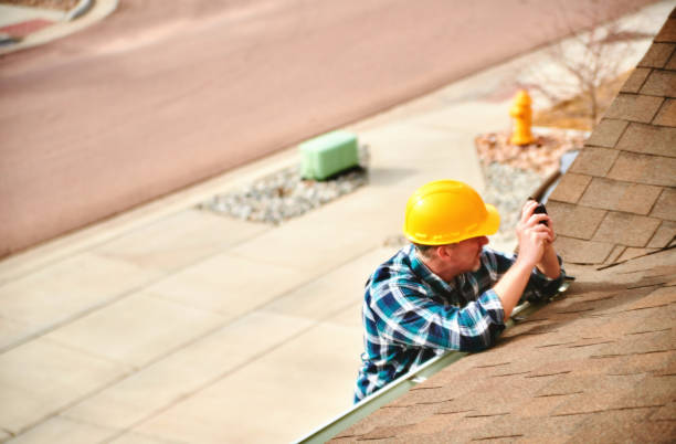 Best Roof Moss and Algae Removal  in East Riverdale, MD